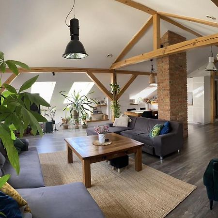 Zeromskiego Apartament Przemyśl Exteriör bild